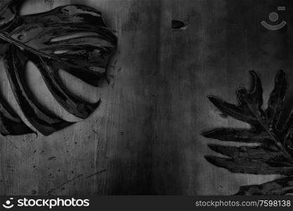 Summer flat lay scenery with minamalist black tropical leaves on wooden background with copy space. Summer flat lay scenery