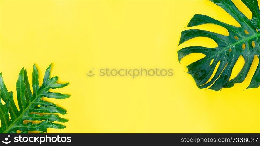 Summer flat lay scenery with tropical leaves on yellow background banner with copy space. Summer flat lay scenery