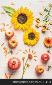 Summer flat lay with apples, sunflowers, pomegranate and other flowers and petals on white background, top view