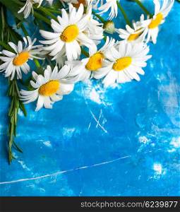 Summer Floral card with chamomile flower over blue vintage painted wooden background.