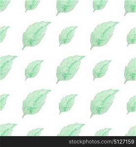 Summer floral watercolor seamless pattern with green leaves on a white background