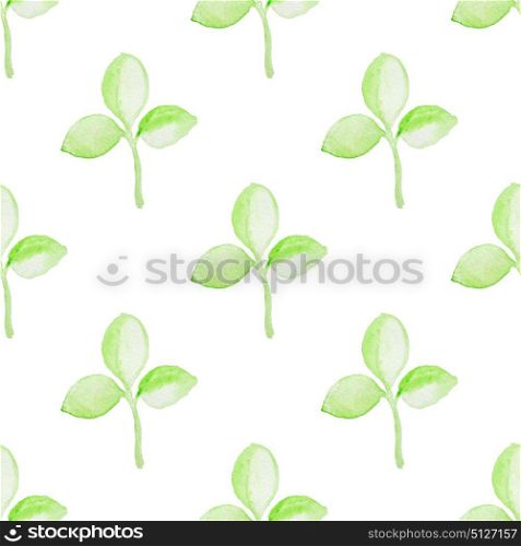 Summer floral watercolor seamless pattern with green plants on a white background