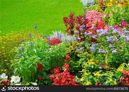 summer flower bed and green lawn