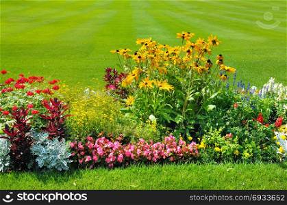 Summer flower bed and green lawn.