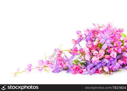 Summer flowers background, beautiful pink and purple flower, isolated on a white background