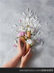 Summer flowers - fresh tender pink and white peony in a wafer cones with female hands, petals on a gray marble table. Place for text, top view. Concept of congratulations for March 8.. Girls hands hold sweet wafer cones with gentle pink and white flowers peony, petals of flowers on a stone gray background.