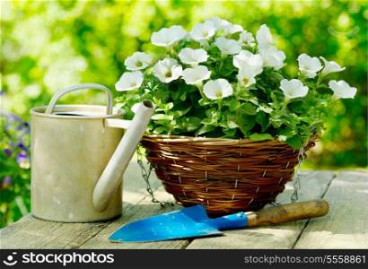 summer flowers with garden tools