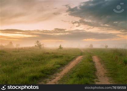 Summer foggy dirt road. Colorful misty rural morning. Sunlight Shining fields and meadow, Belarus