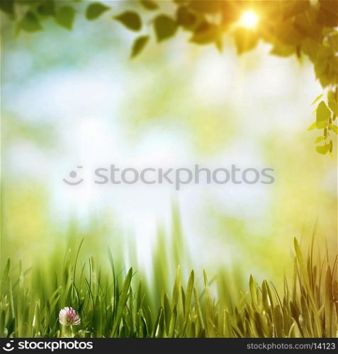 Summer forest, abstract natural backgrounds