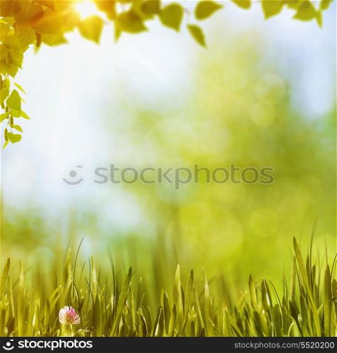 Summer forest, abstract natural backgrounds