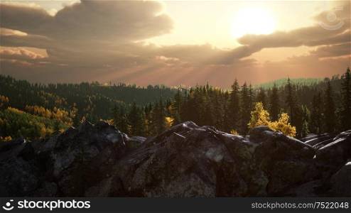 summer forest in mountain landscape at sunset. Summer Forest in Mountain Landscape