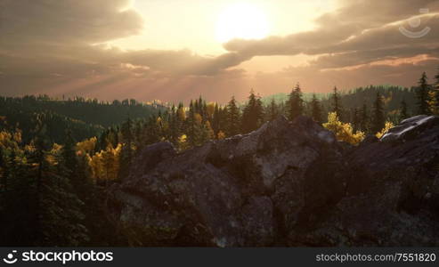 summer forest in mountain landscape at sunset. Summer Forest in Mountain Landscape