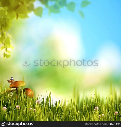 Summer forest view with green foliage, beauty mushrooms and butterfly