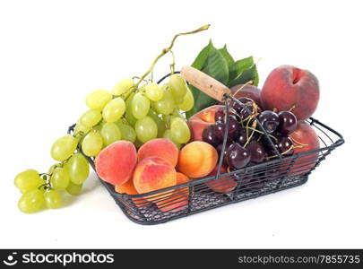 summer fruitsin front of white background