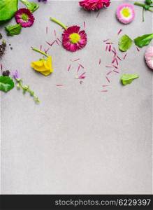 Summer garden flowers plant on gray stone background, top view, place for text