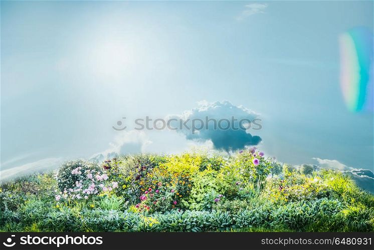 Summer garden landscape with bushes, colorful flowers , roses with blue sky . Outdoor gardening and landscaping