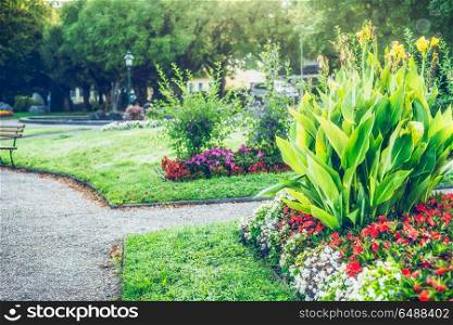 Summer garden or park landscaping with beautiful canna and flowers bed , outdoor nature