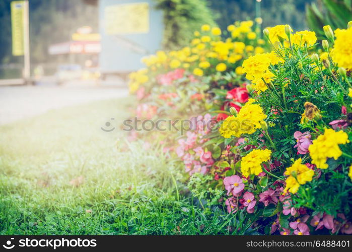 Summer garden or park landscaping with beautiful flowers bed , outdoor nature