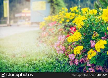 Summer garden or park landscaping with beautiful flowers bed , outdoor nature