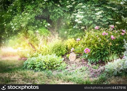 Summer garden with peony bush, nature background