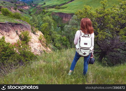 summer - girl walks on the background of the traditional Ukrainian landscape