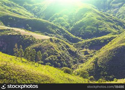 Summer green hills