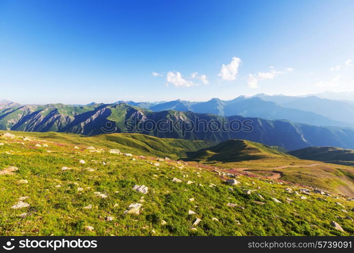 Summer green hills