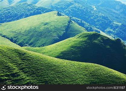 Summer green hills