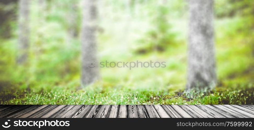 Summer green landscape. Wild trees in forest. Summer green landscape