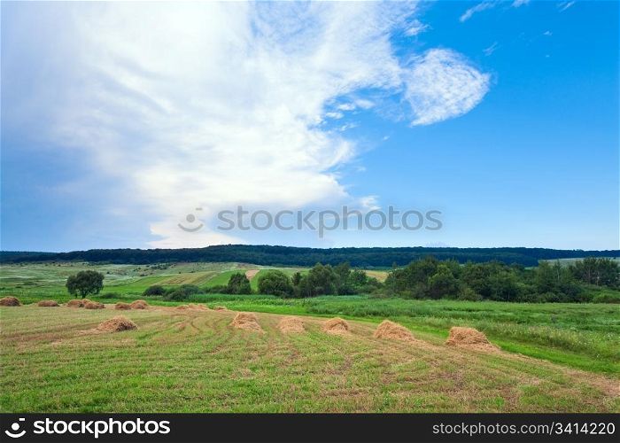 Summer green meadow with stackes of hay.