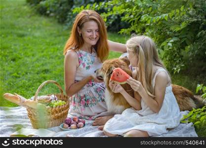 Summer - happy family at a picnic. Mom, daughter and dog corgi at a picnic