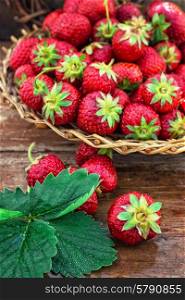 summer harvest of strawberries. wicker basket with ripe strawberries on garden table.Selective focus