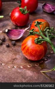 Summer harvest tomato and pepper