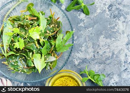 Summer herbal salad.Spring salad.Salad purslane, parsley and sesame. Fresh green salad