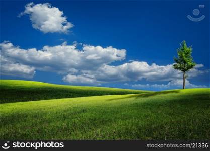 Summer hills under blue skies, natural landscape