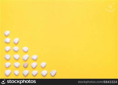 Summer holiday background with white shells. Copy space. Top view