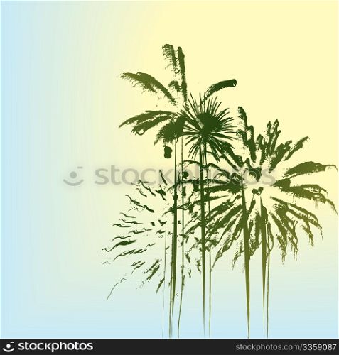 Summer holiday landscape with palm trees
