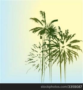 Summer holiday landscape with palm trees