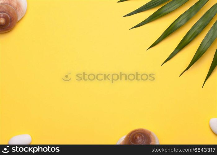 Summer holiday vacation background with shells and green leaf of palm. Copy space. Top view