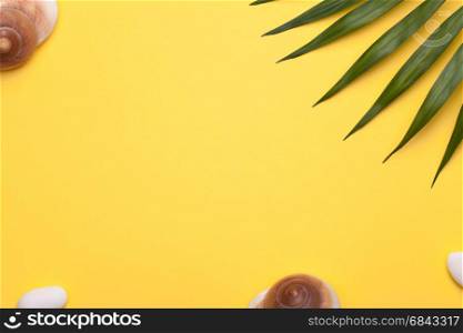 Summer holiday vacation background with shells and green leaf of palm. Copy space. Top view