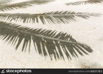 summer holidays and vacation concept - palm tree shadow on sand of tropical beach. palm tree shadow on sand of tropical beach