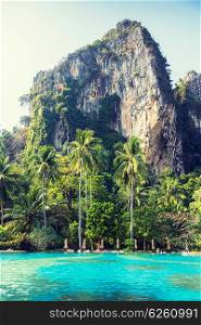 summer holidays, tourism, travel and leisure concept - swimming pool and cliff at thailand touristic resort beach