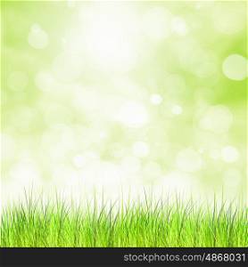 Summer image. Green summer meadow with sun glare and rays