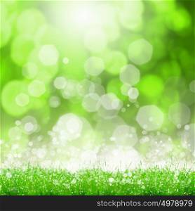 Summer image. Green summer meadow with sun glare and rays