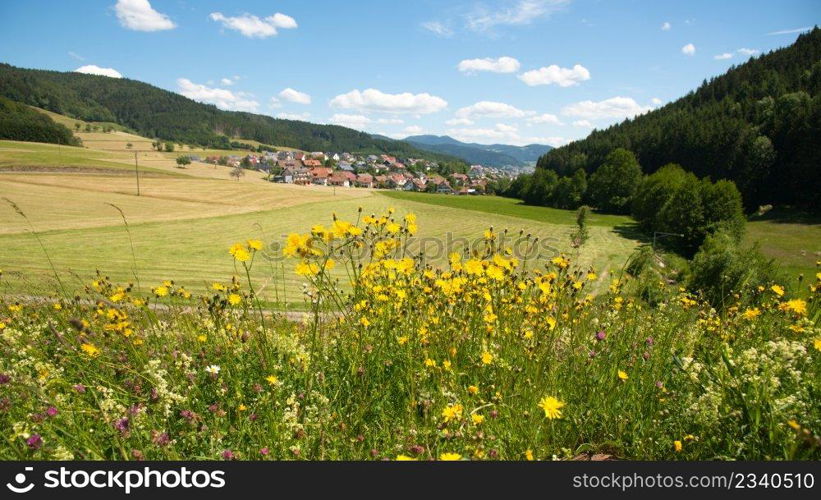 summer in the kinzigtal valley in the black forest in germany