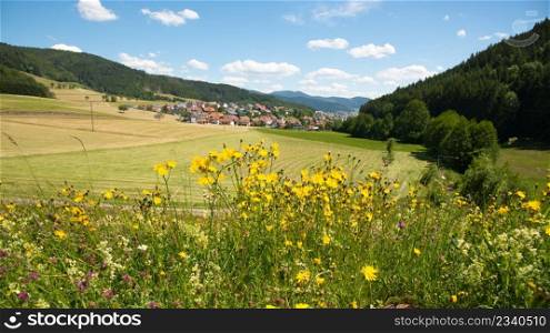 summer in the kinzigtal valley in the black forest in germany
