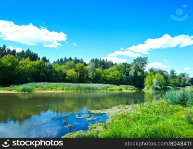 summer lake in Ukraine, beach at lake