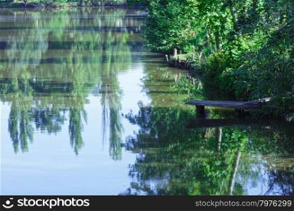Summer lake with trees reflection on water surface.