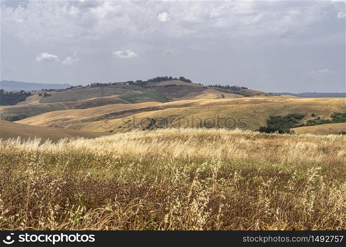 Summer landscape along the road from Gambassi Terme to Volterra, Tuscany, Italy