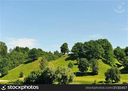 summer landscape. deciduous trees on green hill